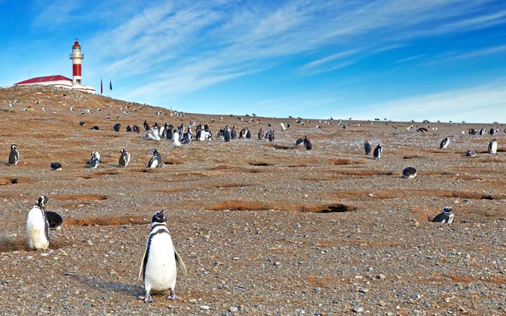 Scalo Punta Arenas